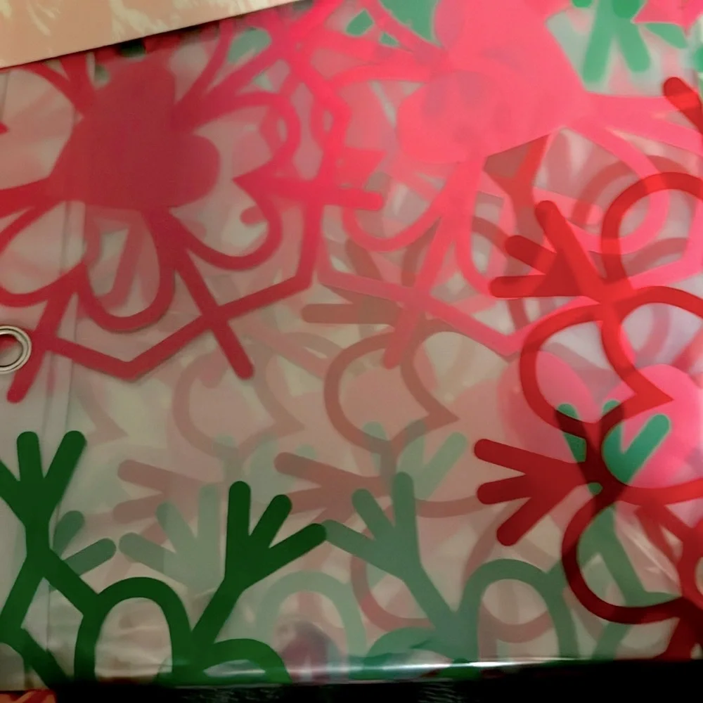 NWT Betsy Johnson SnowFlake Sleigh All Day Shower Curtain.
